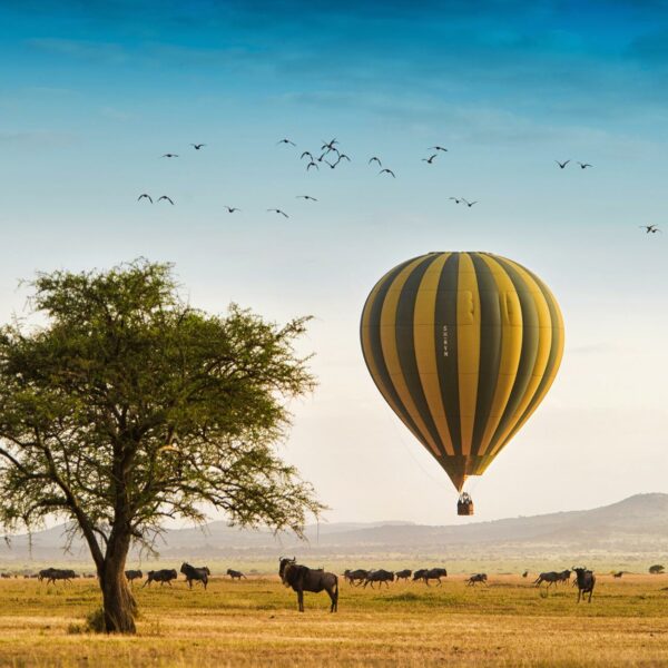 ballon serengeti Experience-Great-Migrations-East-Africa-Hero