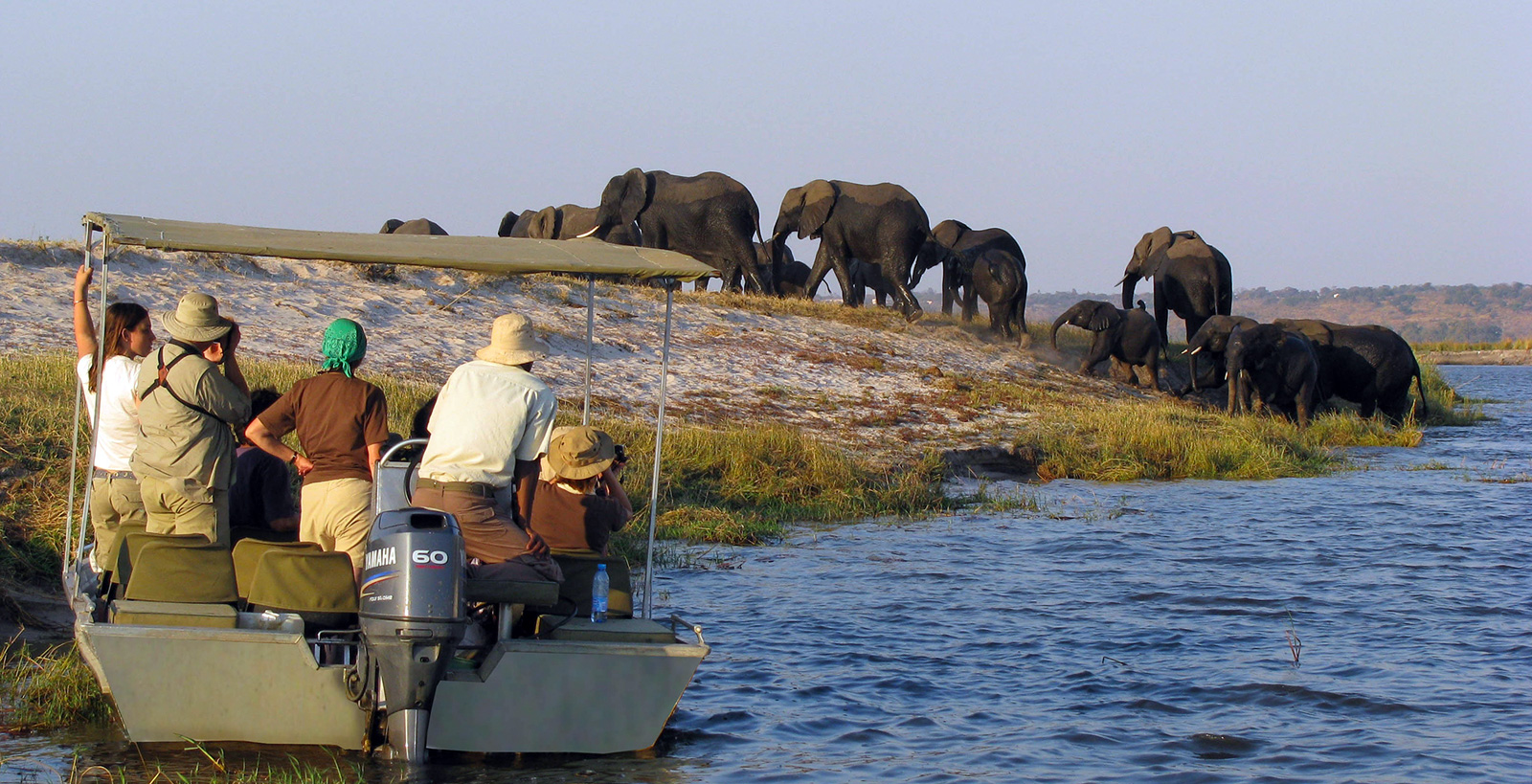 bootje varen tussen olifanten