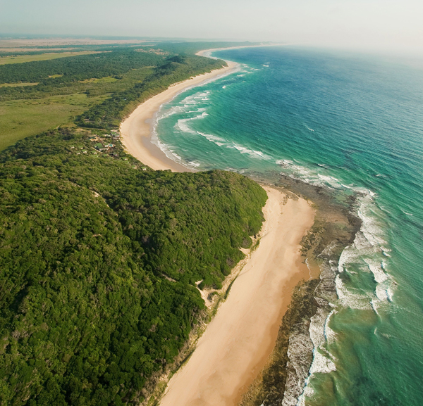 bush-and-beach afrika