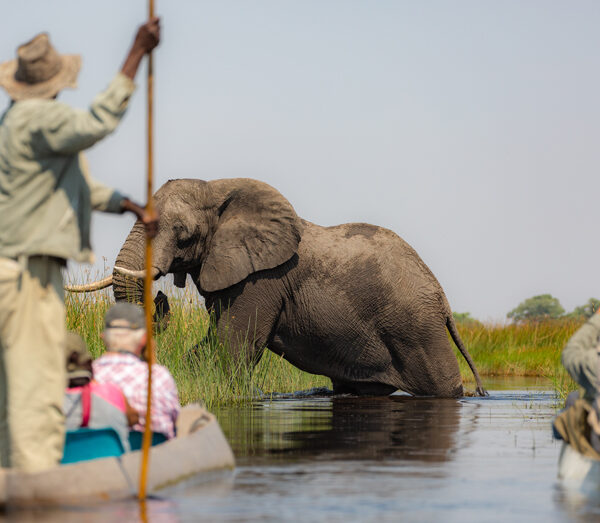 mokoro-Okavango